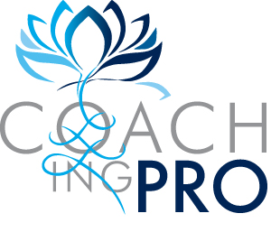 Coaching professionnel, S'team and Co