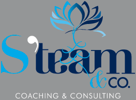 S'Team, Coaching et Consulting