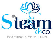 S-Team Logo
